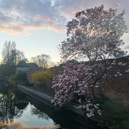 Dans * Colmar